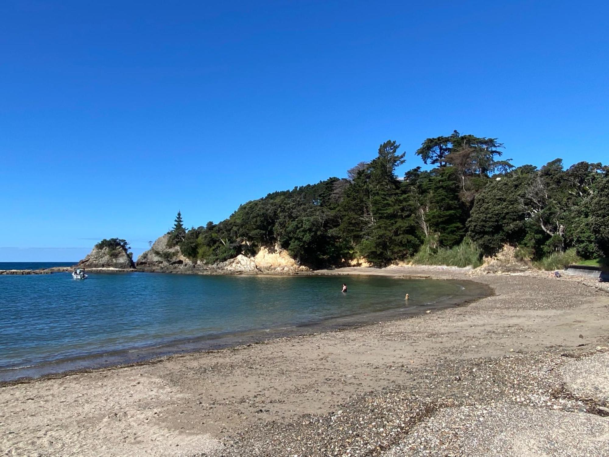 Kereru Cabin - Spectacular Seaviews, Rustic, Glamping Eco Adventure Palm Beach Buitenkant foto