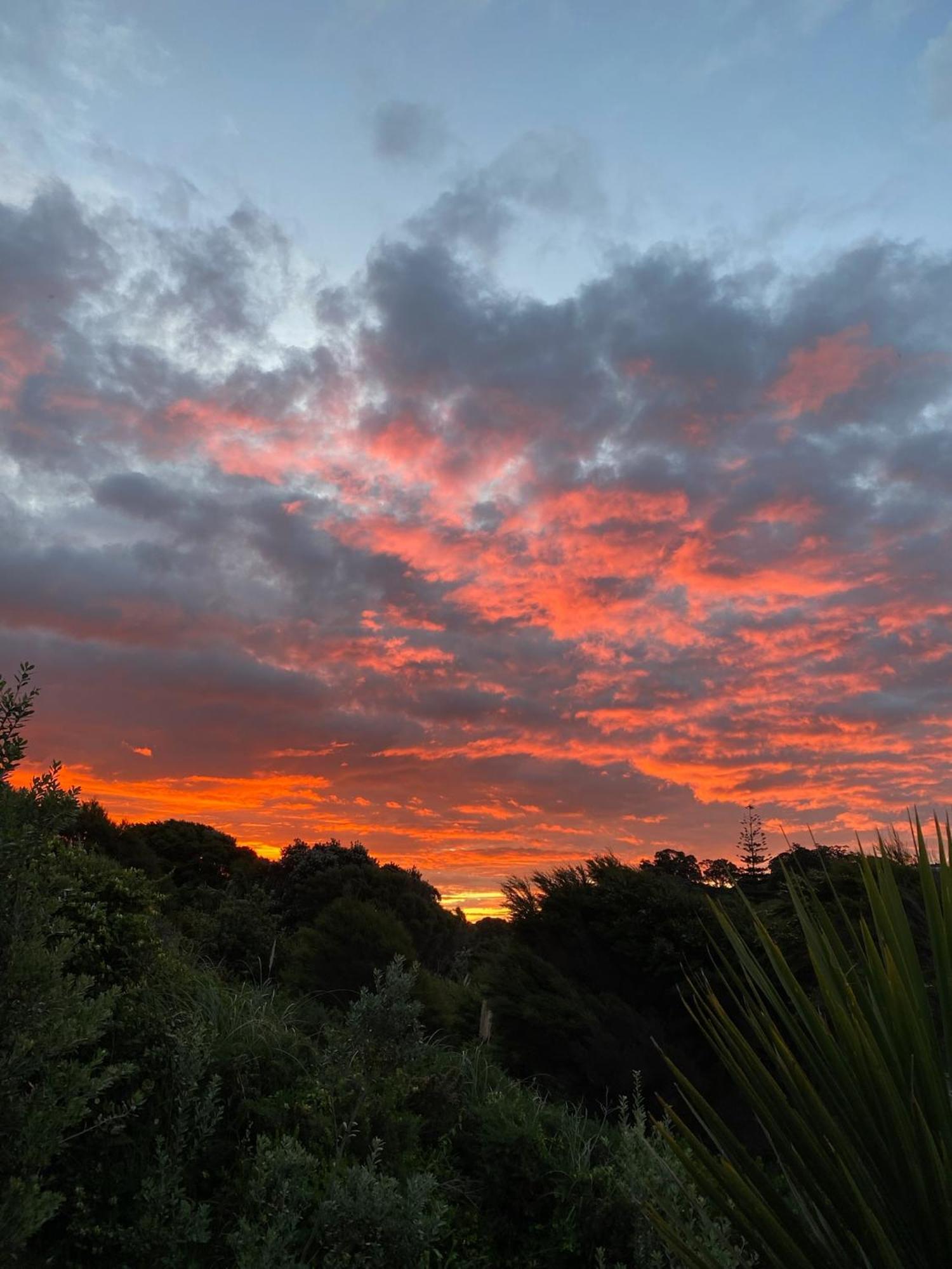 Kereru Cabin - Spectacular Seaviews, Rustic, Glamping Eco Adventure Palm Beach Buitenkant foto