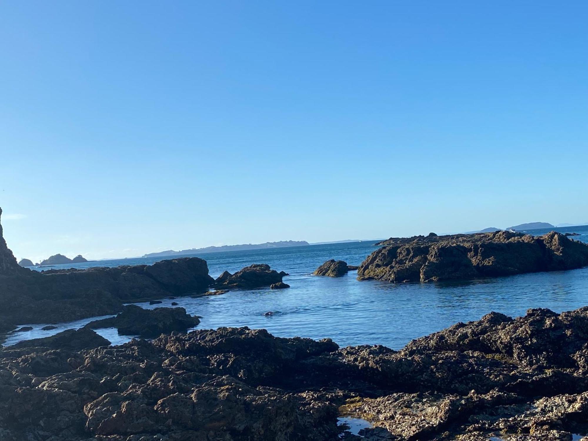 Kereru Cabin - Spectacular Seaviews, Rustic, Glamping Eco Adventure Palm Beach Buitenkant foto